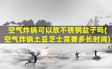 空气炸锅可以放不锈钢盆子吗(空气炸锅土豆芝士需要多长时间)