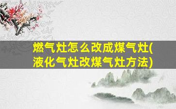 燃气灶怎么改成煤气灶(液化气灶改煤气灶方法)