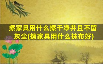 擦家具用什么擦干净并且不留灰尘(擦家具用什么抹布好)