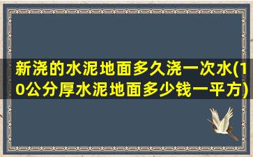新浇的水泥地面多久浇一次水(10公分厚水泥地面多少钱一平方)
