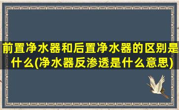 前置净水器和后置净水器的区别是什么(净水器反渗透是什么意思)
