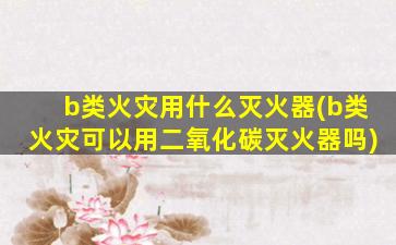b类火灾用什么灭火器(b类火灾可以用二氧化碳灭火器吗)
