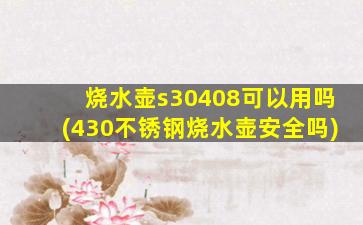 烧水壶s30408可以用吗(430不锈钢烧水壶安全吗)