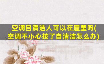 空调自清洁人可以在屋里吗(空调不小心按了自清洁怎么办)