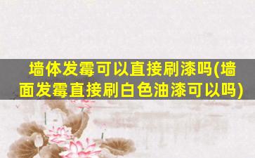 墙体发霉可以直接刷漆吗(墙面发霉直接刷白色油漆可以吗)