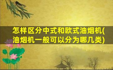 怎样区分中式和欧式油烟机(油烟机一般可以分为哪几类)