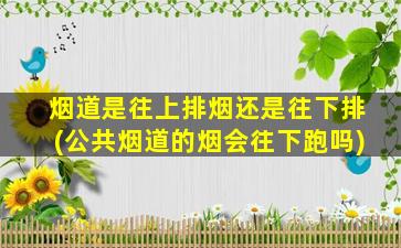 烟道是往上排烟还是往下排(公共烟道的烟会往下跑吗)