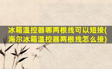 冰箱温控器哪两根线可以短接(海尔冰箱温控器两根线怎么接)