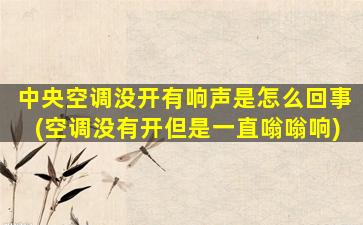 中央空调没开有响声是怎么回事(空调没有开但是一直嗡嗡响)