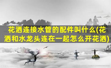 花洒连接水管的配件叫什么(花洒和水龙头连在一起怎么开花洒)