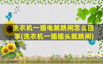 洗衣机一插电就跳闸怎么回事(洗衣机一插插头就跳闸)