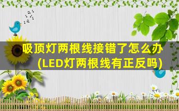 吸顶灯两根线接错了怎么办(LED灯两根线有正反吗)