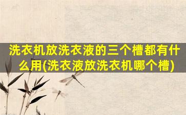洗衣机放洗衣液的三个槽都有什么用(洗衣液放洗衣机哪个槽)