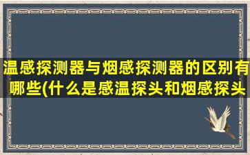 温感探测器与烟感探测器的区别有哪些(什么是感温探头和烟感探头)