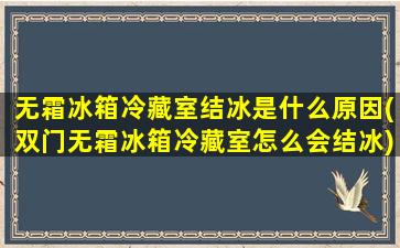 无霜冰箱冷藏室结冰是什么原因(双门无霜冰箱冷藏室怎么会结冰)