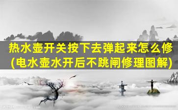 热水壶开关按下去弹起来怎么修(电水壶水开后不跳闸修理图解)