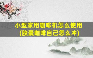 小型家用咖啡机怎么使用(胶囊咖啡自己怎么冲)