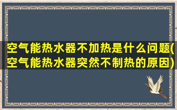 空气能热水器不加热是什么问题(空气能热水器突然不制热的原因)