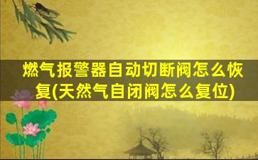 燃气报警器自动切断阀怎么恢复(天然气自闭阀怎么复位)