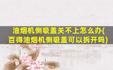 油烟机侧吸盖关不上怎么办(百得油烟机侧吸盖可以拆开吗)