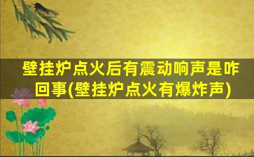 壁挂炉点火后有震动响声是咋回事(壁挂炉点火有爆炸声)