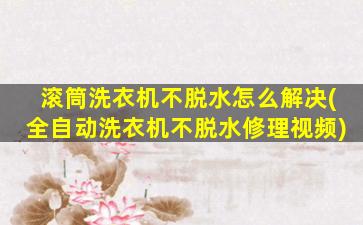 滚筒洗衣机不脱水怎么解决(全自动洗衣机不脱水修理视频)