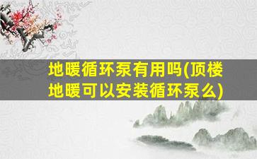 地暖循环泵有用吗(顶楼地暖可以安装循环泵么)