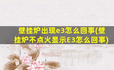 壁挂炉出现e3怎么回事(壁挂炉不点火显示E3怎么回事)