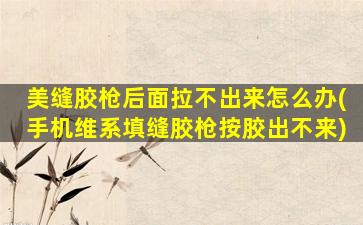 美缝胶枪后面拉不出来怎么办(手机维系填缝胶枪按胶出不来)