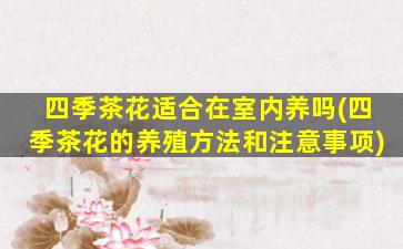 四季茶花适合在室内养吗(四季茶花的养殖方法和注意事项)