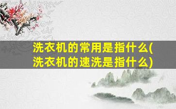 洗衣机的常用是指什么(洗衣机的速洗是指什么)