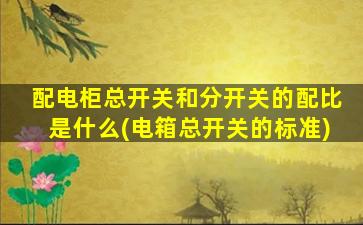 配电柜总开关和分开关的配比是什么(电箱总开关的标准)