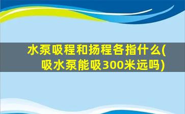 水泵吸程和扬程各指什么(吸水泵能吸300米远吗)
