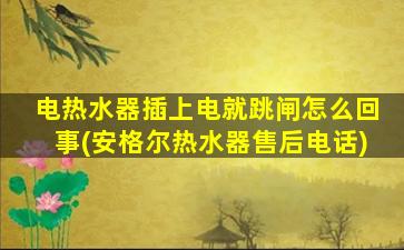 电热水器插上电就跳闸怎么回事(安格尔热水器售后电话)