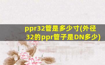 ppr32管是多少寸(外径32的ppr管子是DN多少)