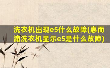洗衣机出现e5什么故障(惠而浦洗衣机显示e5是什么故障)