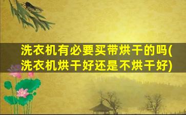 洗衣机有必要买带烘干的吗(洗衣机烘干好还是不烘干好)
