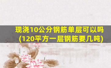 现浇10公分钢筋单层可以吗(120平方一层钢筋要几吨)