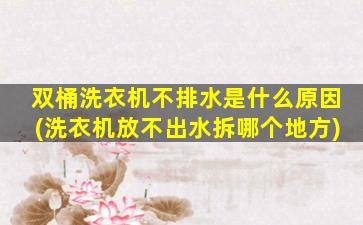 双桶洗衣机不排水是什么原因(洗衣机放不出水拆哪个地方)