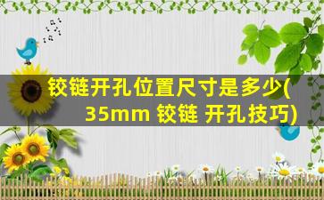 铰链开孔位置尺寸是多少(35mm 铰链 开孔技巧)