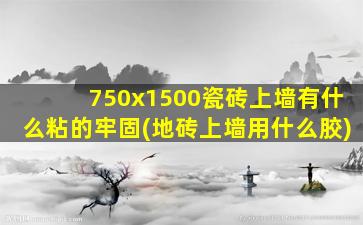 750x1500瓷砖上墙有什么粘的牢固(地砖上墙用什么胶)