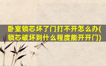 卧室锁芯坏了门打不开怎么办(锁芯破坏到什么程度能开开门)