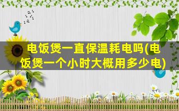电饭煲一直保温耗电吗(电饭煲一个小时大概用多少电)