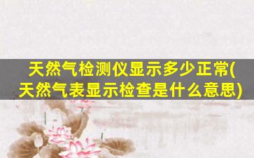 天然气检测仪显示多少正常(天然气表显示检查是什么意思)