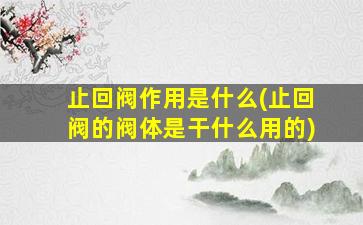 止回阀作用是什么(止回阀的阀体是干什么用的)