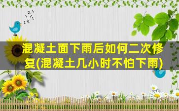 混凝土面下雨后如何二次修复(混凝土几小时不怕下雨)