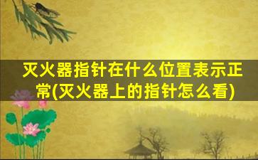 灭火器指针在什么位置表示正常(灭火器上的指针怎么看)