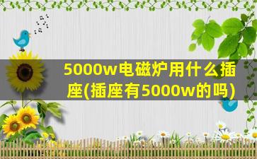 5000w电磁炉用什么插座(插座有5000w的吗)