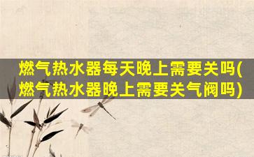 燃气热水器每天晚上需要关吗(燃气热水器晚上需要关气阀吗)