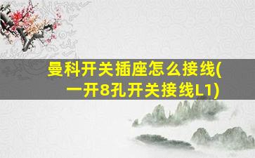 曼科开关插座怎么接线(一开8孔开关接线L1)